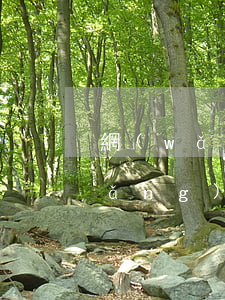 網(wǎng)貸逾期給郵寄催款單(網(wǎng)貸逾期收到寄來(lái)的郵件)