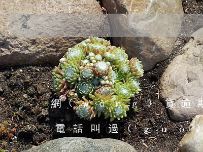網(wǎng)貸逾期經(jīng)偵打電話叫過(guò)去做筆錄-網(wǎng)貸逾期經(jīng)偵打電話叫過(guò)去做筆錄是真的嗎