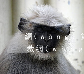 網(wǎng)貸逾期網(wǎng)上仲裁 網(wǎng)貸逾期網(wǎng)上仲裁符合法律嗎
