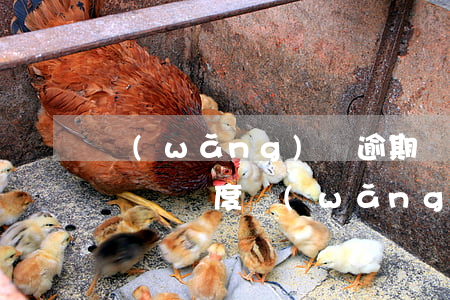 網(wǎng)貸逾期網(wǎng)商貸還給額度(網(wǎng)商貸額度到期)