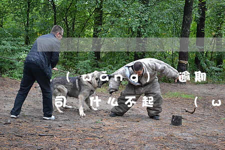 網(wǎng)貸逾期網(wǎng)貸公司為什么不起訴(網(wǎng)貸公司為什么不起訴逾期者)