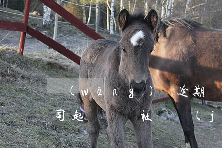 網(wǎng)貸逾期網(wǎng)貸公司起訴賬戶被凍結(jié)(網(wǎng)貸逾期被起訴了會(huì)凍結(jié)賬戶嗎)