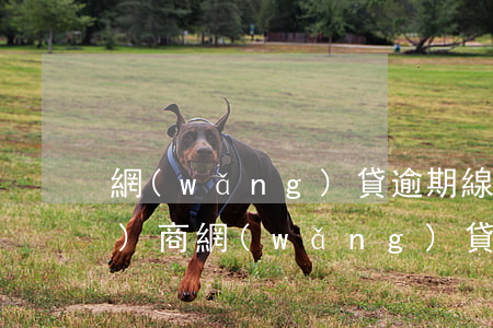 網(wǎng)貸逾期線上怎么協(xié)商(網(wǎng)貸款逾期怎么協(xié)調(diào))