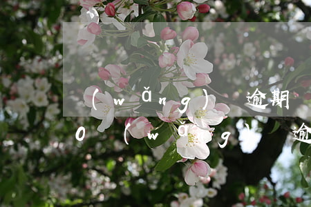 網(wǎng)貸逾期總額2021(2020網(wǎng)貸逾期)