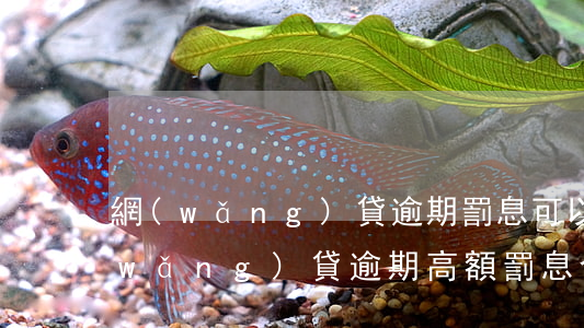 網(wǎng)貸逾期罰息可以不給嗎(網(wǎng)貸逾期高額罰息合法嗎)