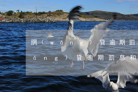網(wǎng)貸逾期罰息可以商量(網(wǎng)貸逾期 罰息和違約金 合法嗎)