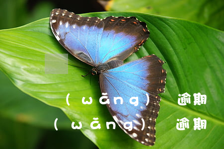 網(wǎng)貸逾期罰息太高怎么辦-網(wǎng)貸逾期罰息太高怎么辦呢