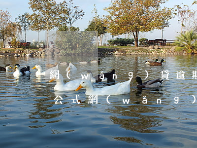 網(wǎng)貸逾期罰息的計(jì)算公式(網(wǎng)貸逾期罰款多少)