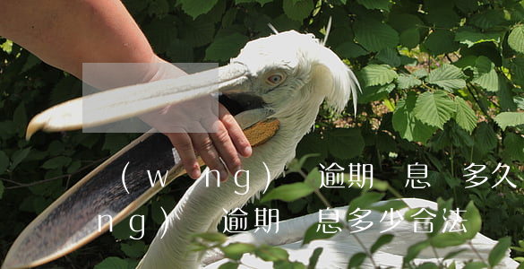 網(wǎng)貸逾期罰息罰多久(網(wǎng)貸逾期罰息多少合法)