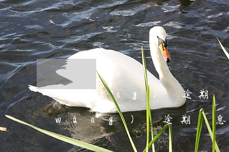 網(wǎng)貸逾期罰息能不能減免(網(wǎng)貸逾期罰息可以免除嗎)