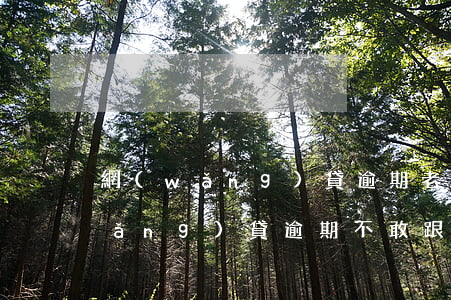 網(wǎng)貸逾期老公外出打工(網(wǎng)貸逾期不敢跟家里說(shuō))