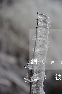 網(wǎng)貸逾期老婆微信賬號(hào)被凍結(jié)-網(wǎng)貸逾期被惡意凍結(jié)微信號(hào)