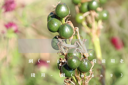 網(wǎng)貸逾期老表主動問他有沒有錢用-網(wǎng)貸逾期老表主動問他有沒有錢用怎么辦