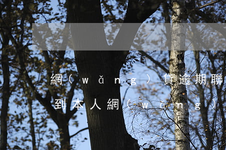 網(wǎng)貸逾期聯(lián)系不到本人(網(wǎng)貸逾期聯(lián)系不到本人)