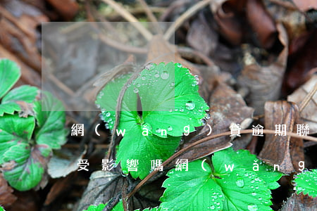 網(wǎng)貸逾期聯(lián)系人受影響嗎(網(wǎng)貸逾期多久會(huì)聯(lián)系朋友)