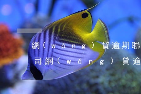 網(wǎng)貸逾期聯(lián)系公司（網(wǎng)貸逾期公司涵）