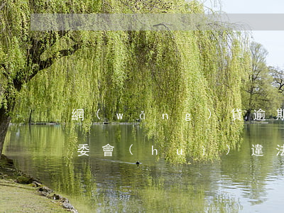 網(wǎng)貸逾期聯(lián)系村委會(huì)違法嗎-網(wǎng)貸逾期律師上門取證