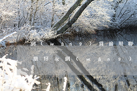 網(wǎng)貸逾期聯(lián)系親朋好友(網(wǎng)貸逾期會(huì)一直騷擾親朋好友嗎)