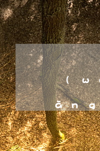 網(wǎng)貸逾期能下載的貸款(網(wǎng)上貸款逾期還有什么可以貸的?)