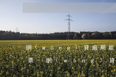 網(wǎng)貸逾期能不能用微信買火車票-網(wǎng)貸逾期不能買車票嗎
