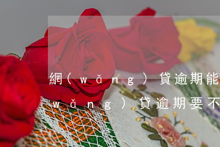 網(wǎng)貸逾期能不能緩緩再還(網(wǎng)貸逾期要不要還)