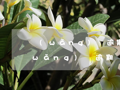 網(wǎng)貸逾期能不能買房貸款(網(wǎng)貸逾期還可以貸款買房嗎)