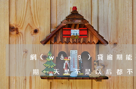 網(wǎng)貸逾期能不能開白條(白條逾期一天是不是以后都不能用了?)