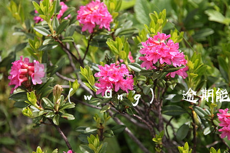 網(wǎng)貸逾期能以卡辦卡嗎