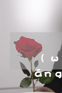 網(wǎng)貸逾期能借的口子6(網(wǎng)貸逾期還可以借錢的口子)
