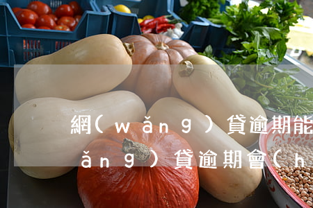 網(wǎng)貸逾期能做快遞員嗎(網(wǎng)貸逾期會(huì)不會(huì)坐牢)