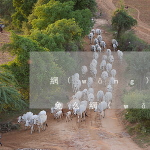 網(wǎng)貸逾期能協(xié)商減免么(網(wǎng)貸逾期如何減免利息)