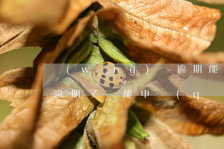網(wǎng)貸逾期能取消證信嗎(信用卡逾期了還能申請(qǐng)網(wǎng)貸嗎)