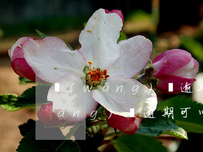 網(wǎng)貸逾期能按揭買車么(網(wǎng)貸逾期可以買車嗎)