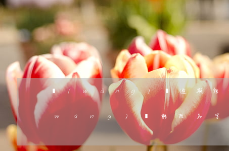 網(wǎng)貸逾期能更改姓名嘛(欠網(wǎng)貸能改名字嗎)