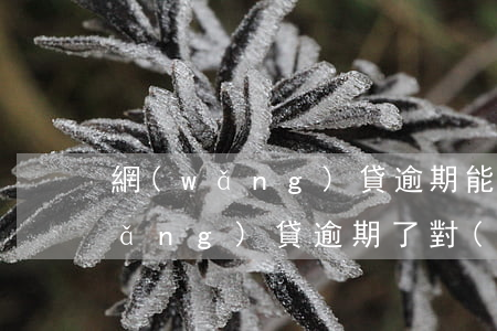 網(wǎng)貸逾期能有什么影響(網(wǎng)貸逾期了對(duì)以后有影響嗎)