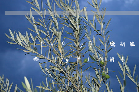 網(wǎng)貸逾期能申請(qǐng)哪個(gè)信用卡（網(wǎng)貸逾期能申請(qǐng)建行信用卡嗎）