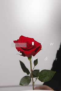 網(wǎng)貸逾期能立刑事案件嗎(網(wǎng)貸逾期會立案嗎)