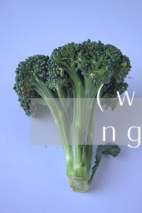 網(wǎng)貸逾期能緩一個月嗎(網(wǎng)貸逾期一周內(nèi)會不會有影響)