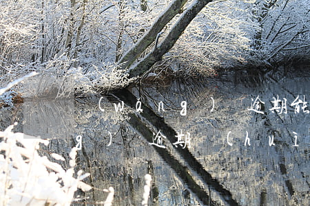 網(wǎng)貸逾期能起訴嗎(網(wǎng)貸逾期會(huì)被起訴嗎)
