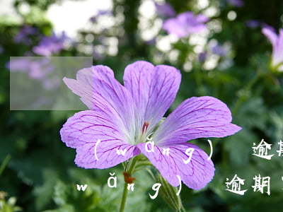 網(wǎng)貸逾期能辦理信用卡嗎?（網(wǎng)貸逾期了幾天可以辦理信用卡嗎）