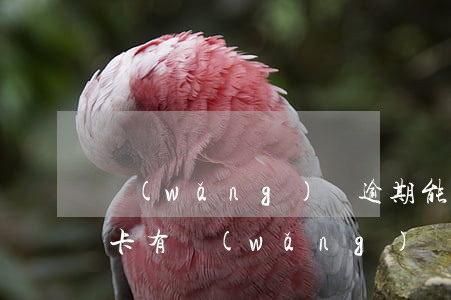 網(wǎng)貸逾期能辦理光大銀行信用卡(有網(wǎng)貸可以申請(qǐng)光大銀行信用卡嗎)
