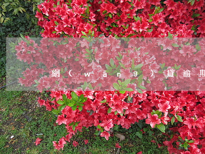 網(wǎng)貸逾期能辦理居住證