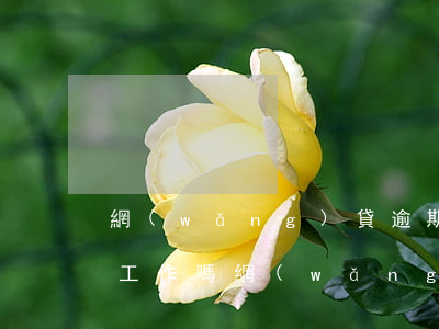網(wǎng)貸逾期能進(jìn)銀行工作嗎(網(wǎng)貸逾期能進(jìn)銀行工作嗎)