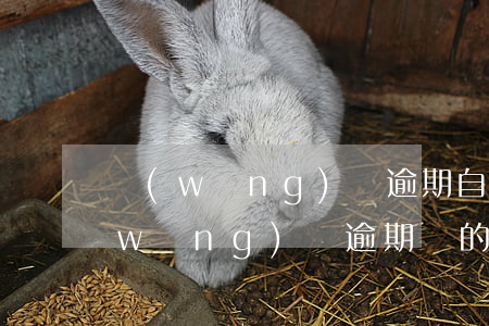 網(wǎng)貸逾期自己名下的公司(網(wǎng)貸逾期別的平臺知道嗎)