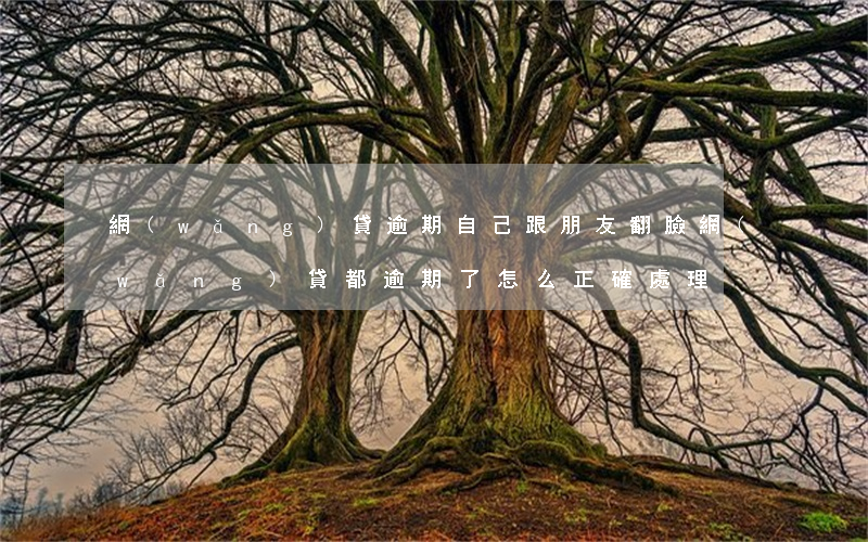 網(wǎng)貸逾期自己跟朋友翻臉(網(wǎng)貸都逾期了怎么正確處理)