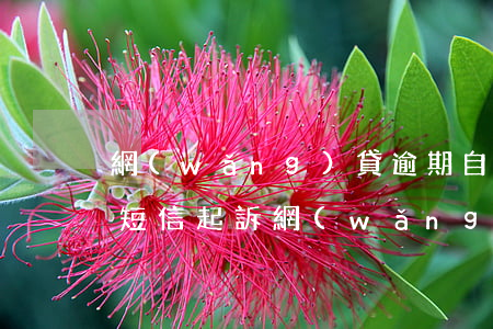 網(wǎng)貸逾期自稱律師發(fā)短信起訴(網(wǎng)貸逾期律師事務(wù)所發(fā)信息)