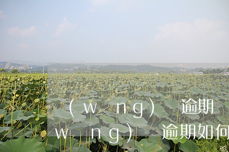 網(wǎng)貸逾期與討債公司商討(網(wǎng)貸逾期如何協(xié)商還款)