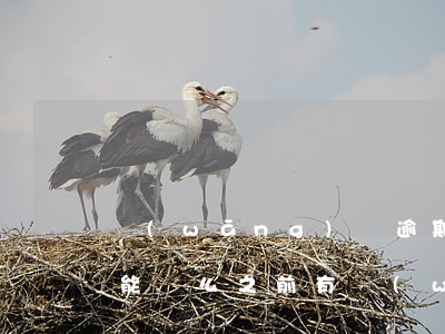網(wǎng)貸逾期興業(yè)信用卡能辦么(之前有網(wǎng)貸逾期能辦信用卡嗎)
