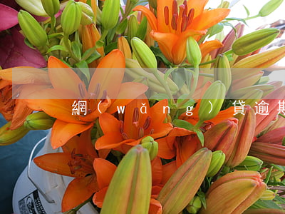 網(wǎng)貸逾期芝麻分700