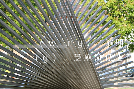 網(wǎng)貸逾期芝麻分低的網(wǎng)貸(芝麻分低也可以申請(qǐng)的網(wǎng)貸)